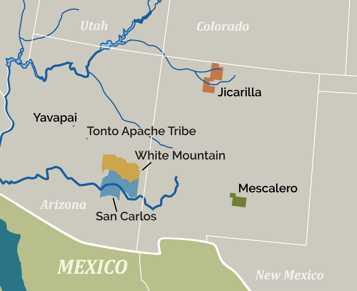 The 10 BEST Fishing Charters in San Carlos, Mexico from US $400 (Winter  2026), image size:1200x978