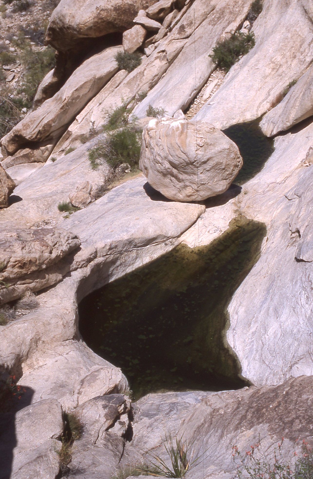 Picture of Tinaja, depressions in rocks that filled seasonally with water