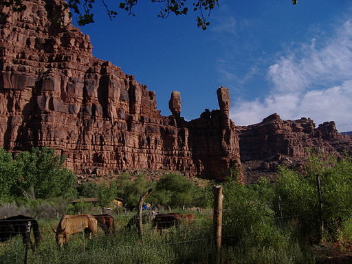 Picture shows horses grazing beneath the twin rock pillars Wiigleva, the guardian spirits of the Hualapai