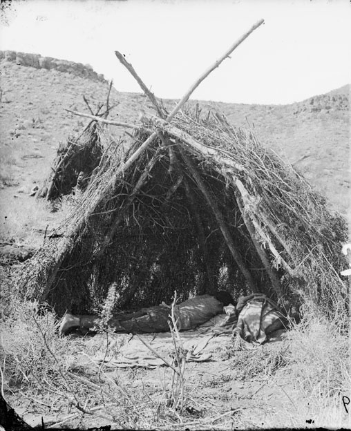 Picture shows Paiute summer shelters, 1873