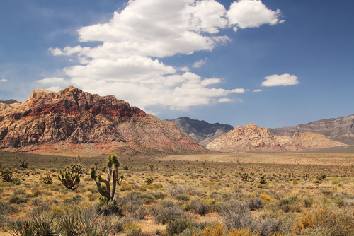 The ancestors of the Southern Paiute were adapted to life in the arid Mojave Desert. In particular, archaeologists believe they had a specialized toolkit that allowed them to exploit the small grasses that grow in the desert region.