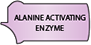 alanine activating enzyme