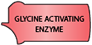 glycine-activating enzyme