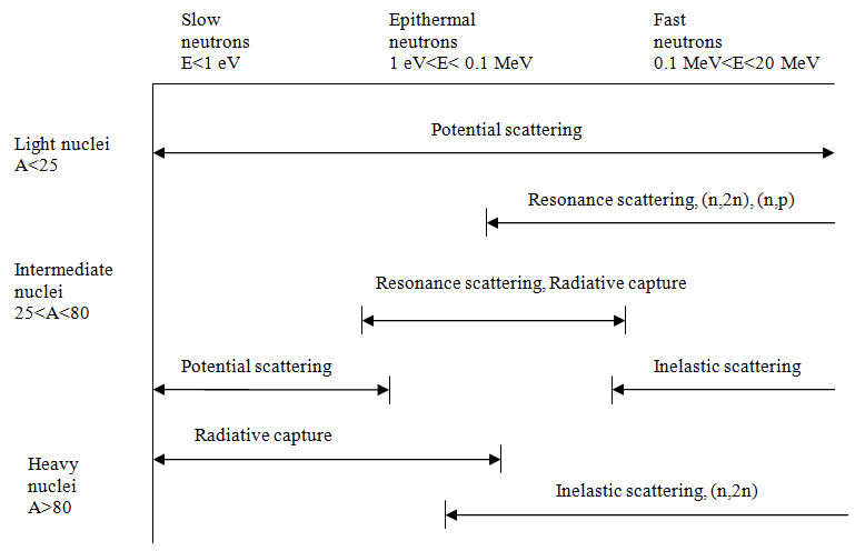 NucleiMassCharacteristics.png