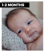 1-2 month old baby